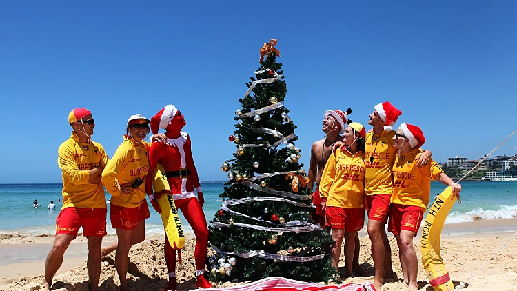 2011. עץ אשוח - על החוף בסידני, אוסטרליה