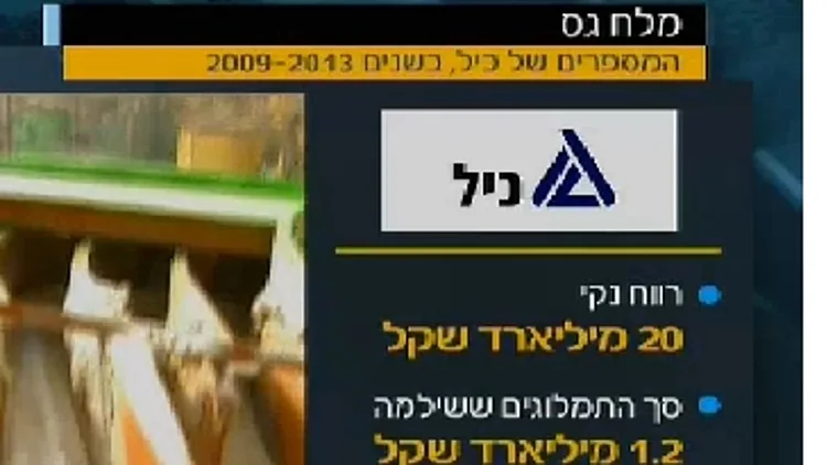 b,נתונים על חברת כימיקלים לישראל