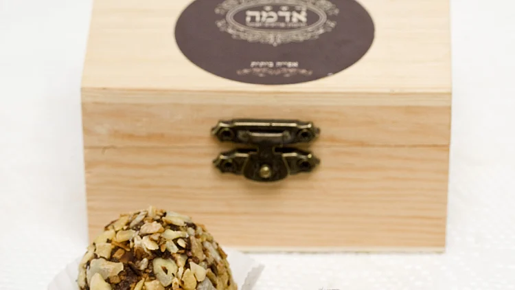 מתכון לכדורי שוקולד עם פירות יבשים