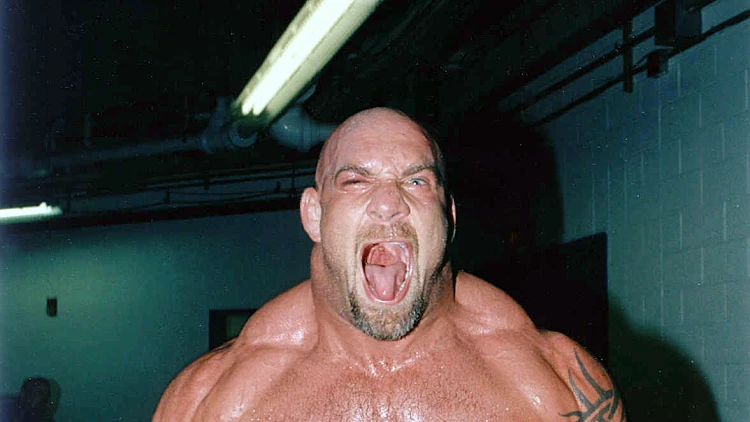 ביל גולדברג