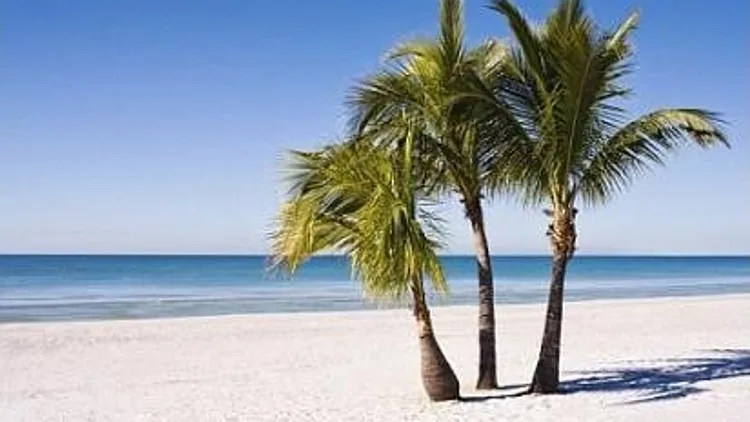 שישה ניצולים שנסחפו אל אי בודד הקימו בו מושבת סקס