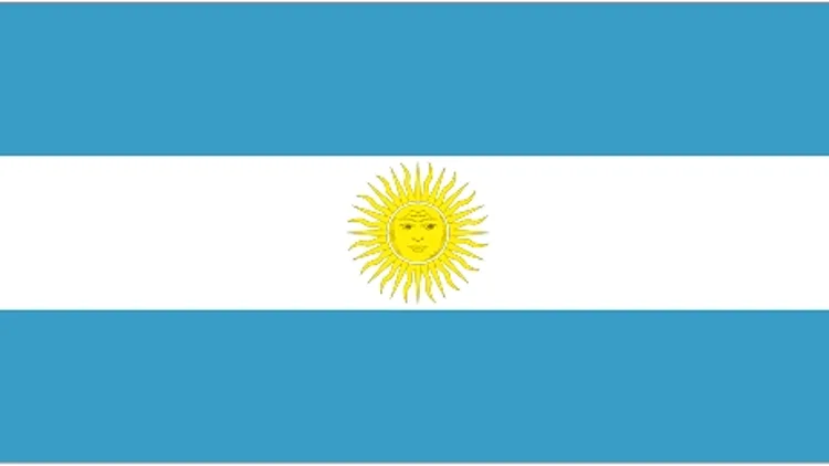 דגל ארגנטינה מונדיאל 2010