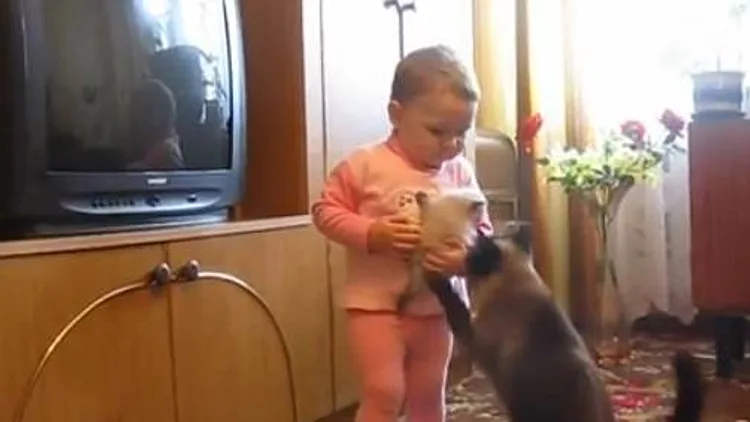 חתולה ותינוקת רבות