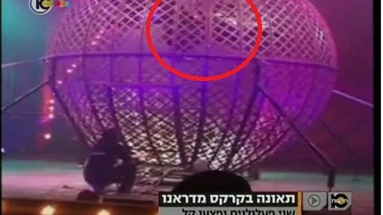 תאונת אופנוענים בקרקס מדראנו