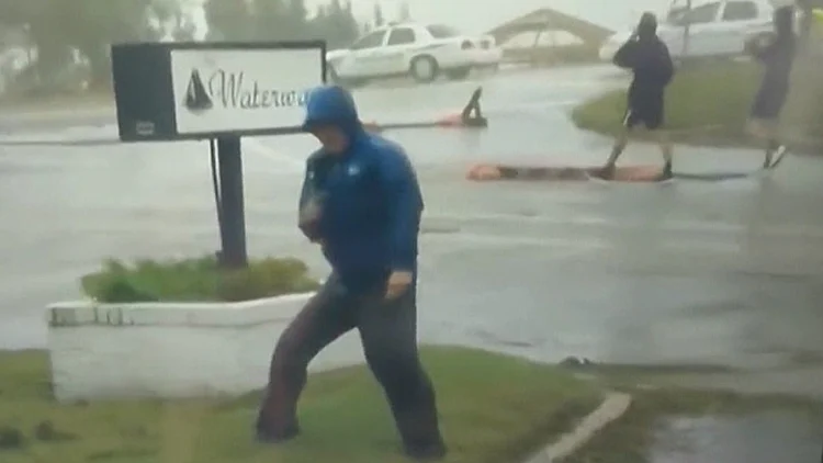 החזאי המתחזה