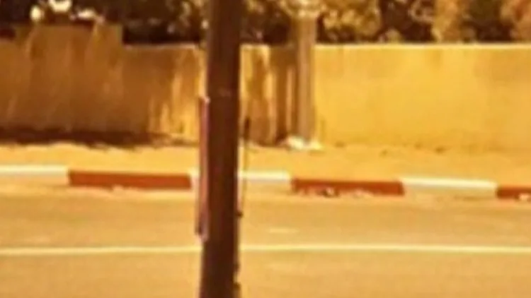 צינור לילה 19.4.14