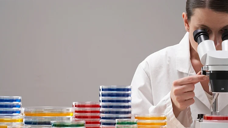 מדען מביט במיקרוסקופ כשצלחות צבעוניות לידו