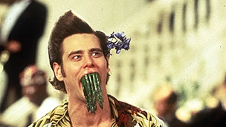 אייס וונטורה - בלש חיות