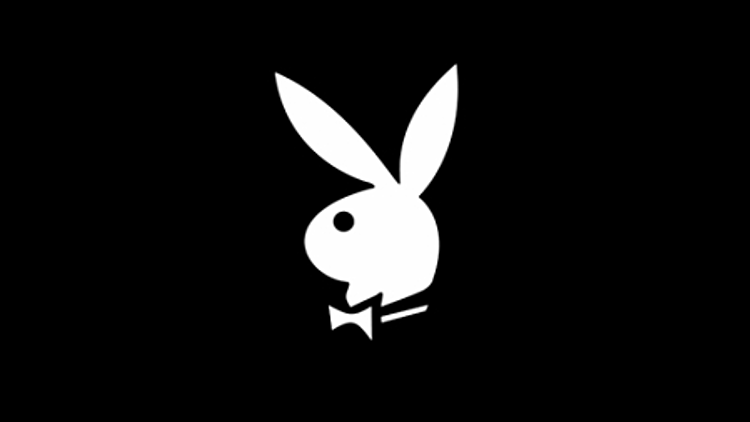 לוגו פלייבוי