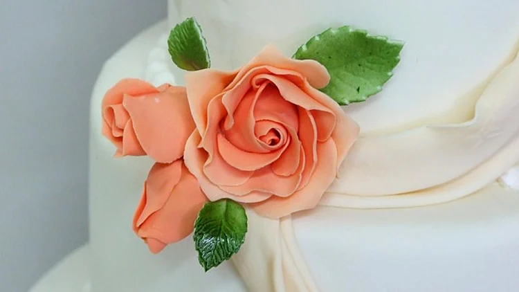 עוגה של דן דייויס