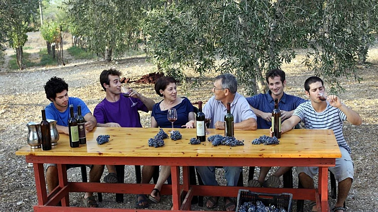 טיולי יקבים בסוכות - יקב צפרירים