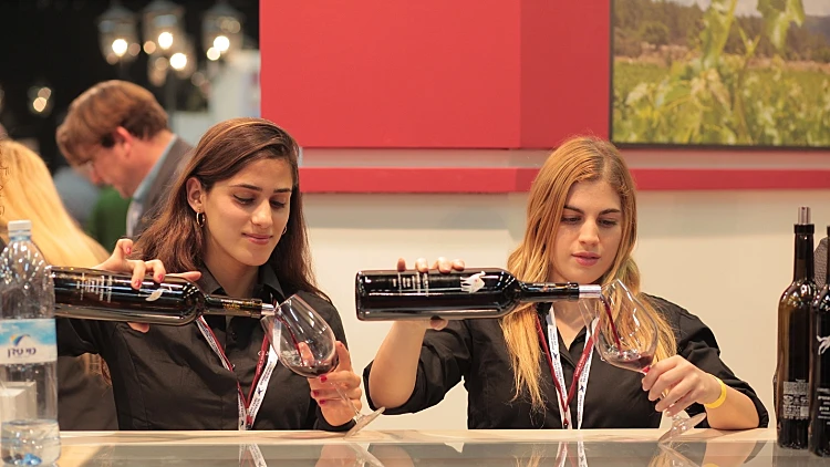 תמונה לכתבה על סיקור תערוכת תערוכת ISRAWIEXPO 2012, תמונה בסרטון ודאו ולהפניות