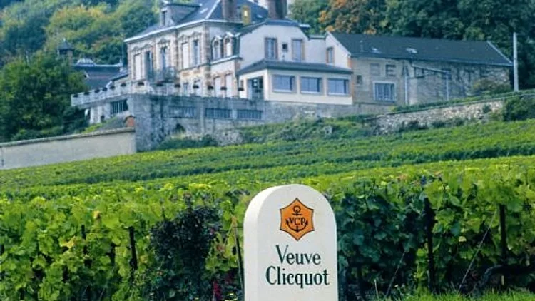 כרמים וטירה של בית המשפניה וו קליקו, מתחן עולם היין תמונה ראשית בכתבה וגם להפניות