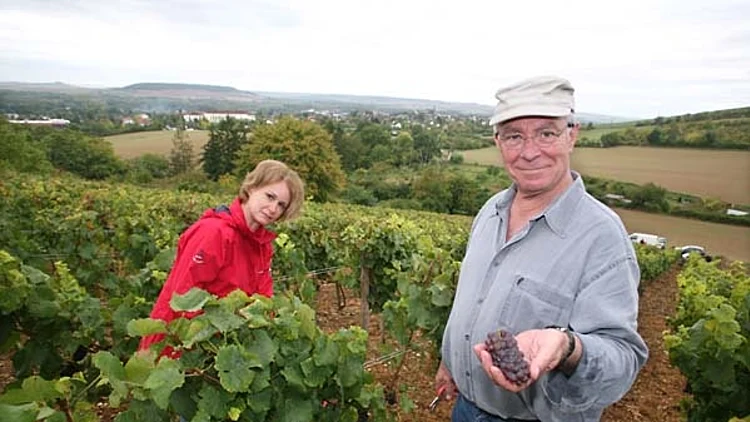 תמונה מתוך הבלוג http://www.wineterroirs.com/ לכתבה על הבלוג. תמונה ראשית ולהפניות