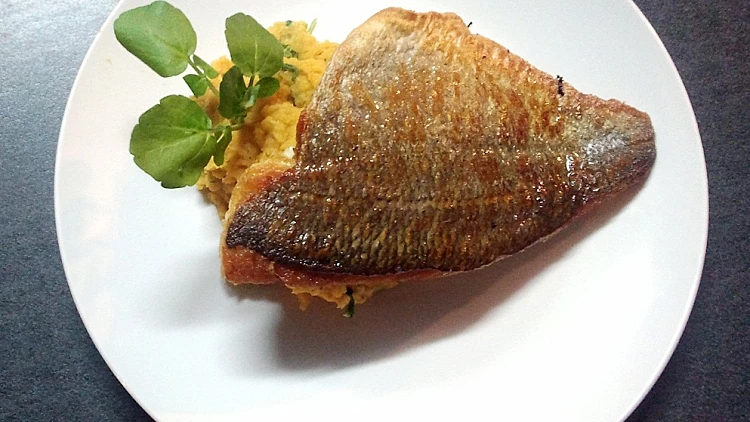 תמונה של דג דניס על מצע פירה עדשים, מתחם עולם היין תמונה ראשית ולהפניות