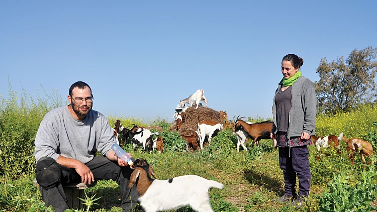 פועה גופר ועודד פרבר