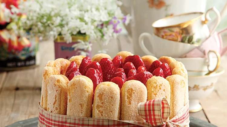 מתכון לשרלוט עם מסקרפונה ותותים