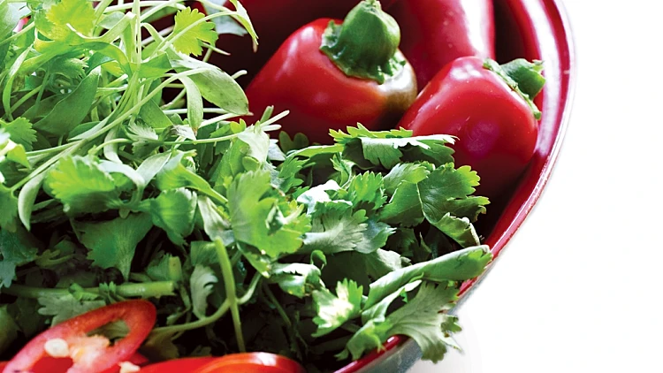 כוסברה וצ'ילי