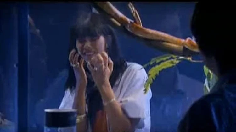 היפה דלית זריהן מתוך היפה והחנון 3