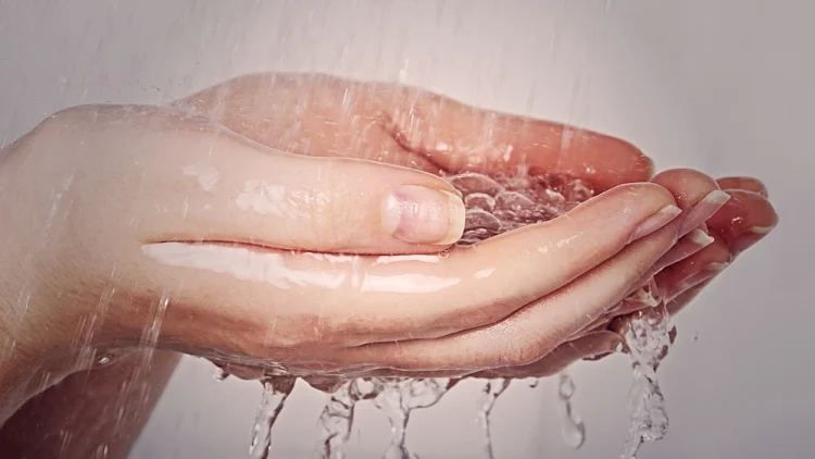 ידיים נקיות