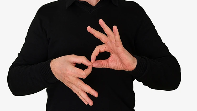 שפת הסימנים