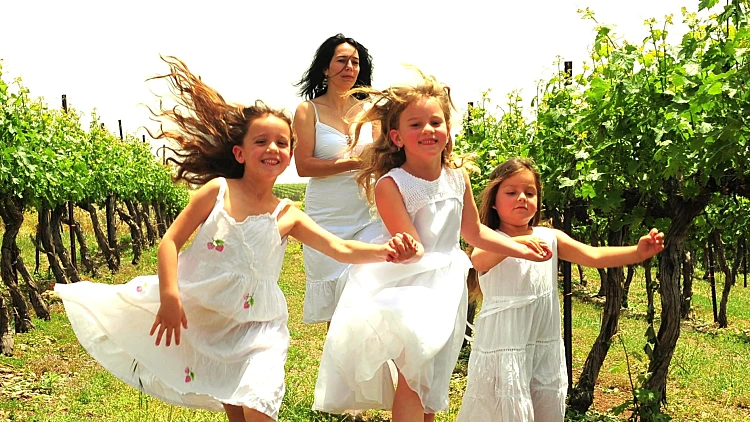 שבועות ביקב הרי גליל