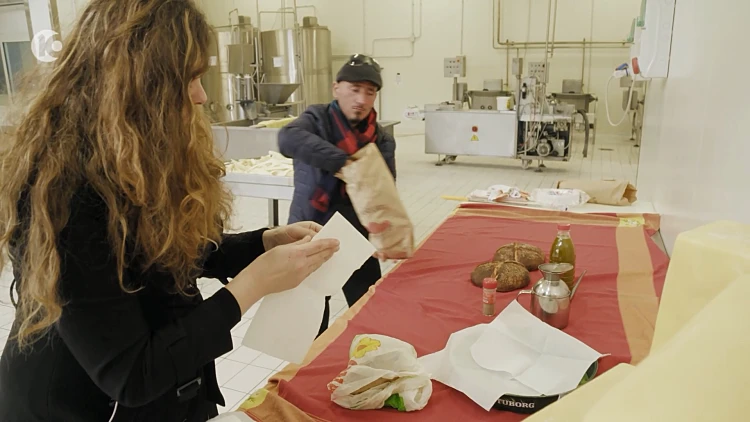 מתוך המסע המופלא של אהרוני וגידי