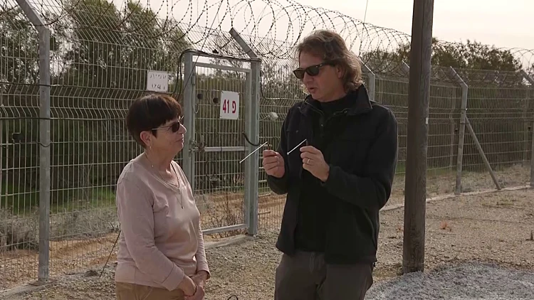 מתוך שי בשידור