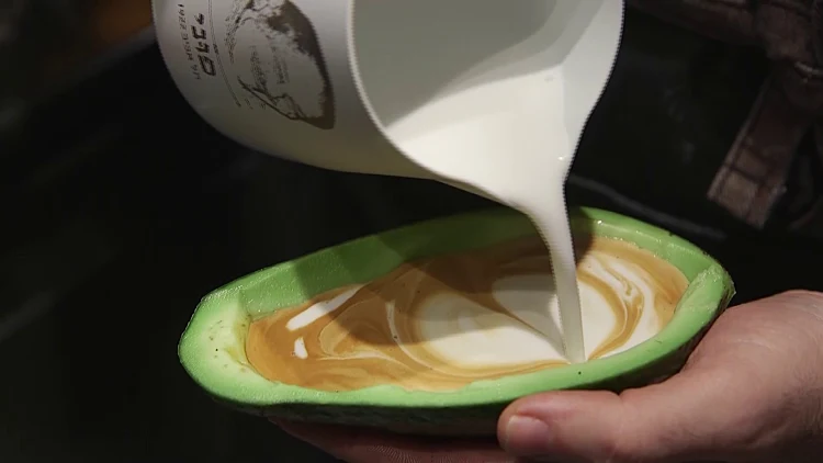 קפה באבוקדו מתוך שי בשידור