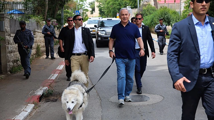 ראש הממשלה נתניהו מטייל עם הכלבה קאיה
