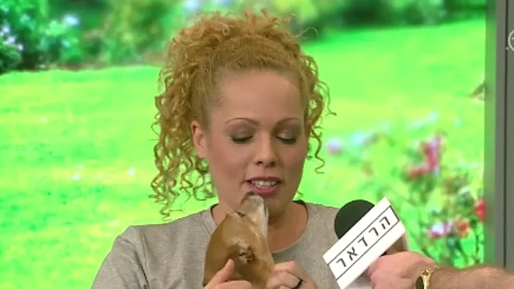 אורלי וילנאי