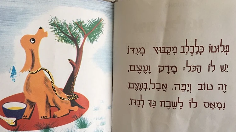 מתוך הספר איה פלוטו