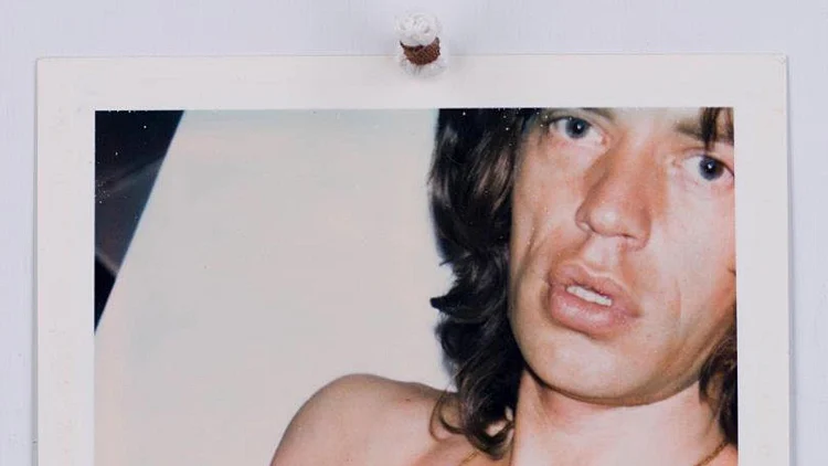 פיקאסו, פּאלומה, 9/1973, תצלום פולארויד סוג SX-70