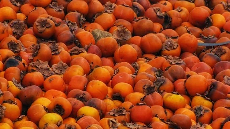 נטלי דדון הפגיזה עם לוק שלא חשבנו עליו