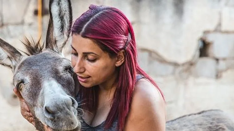 שרון וחמוריקו