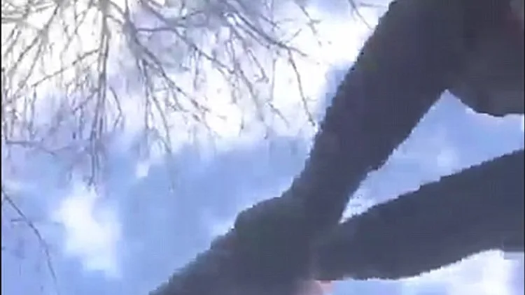 בראין פילדס, רגעים לפני הירי