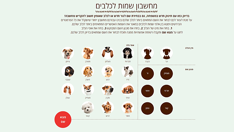 מחשבון שמות לכלבים