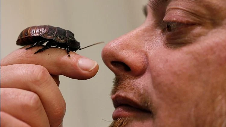 אדם מחזיק תיקן