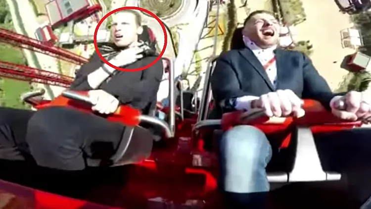 יונה עם עלה של זית?