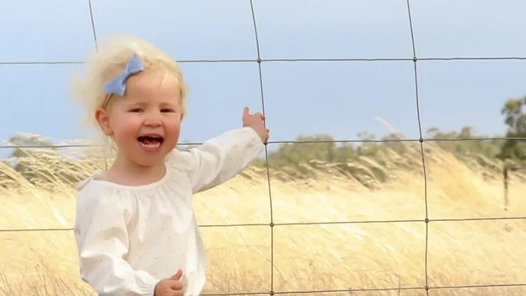 האימה שמסתתרת מאחורי התמונה