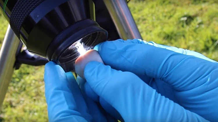 אל תביטו ישירות לשמש