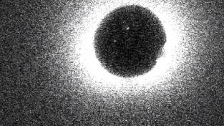 הניצוץ האלוהי: הרגע ובו בייצית מופרית