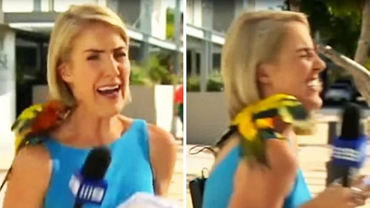 הכתבת והאורח הפורח