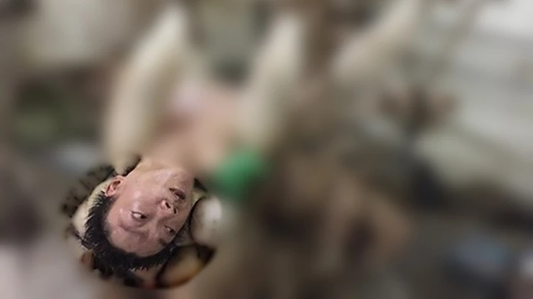 הסיפור המרגש מאחורי התמונה המזעזעת