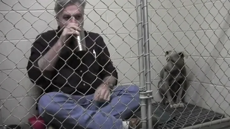 מה שהוטרינר הזה עשה ירגש גם אתכם