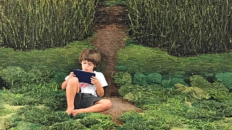 השטיח שכובש את הרשת