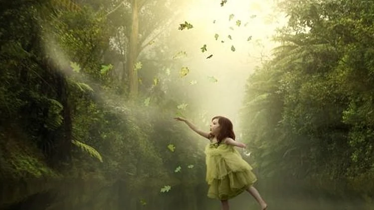 עמוד הפייסבוק של סוכנות קודס