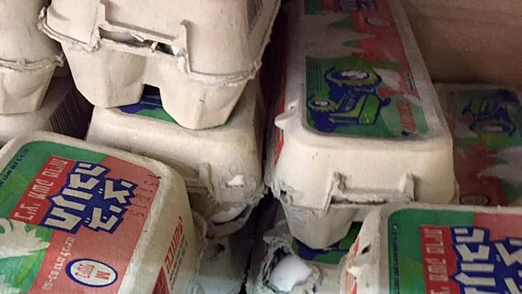 ולדות עכברים בשופרסל