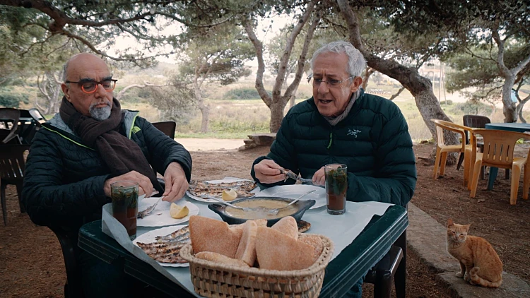 המסע המופלא של גידי ואהרוני