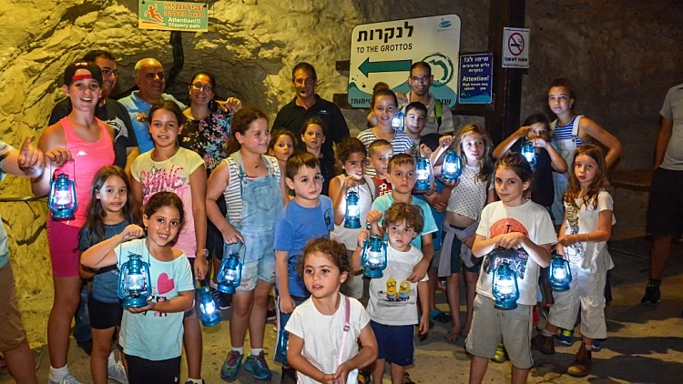 פעילות לילה